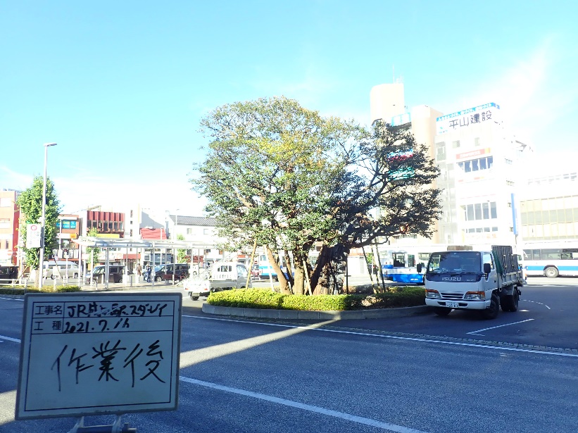 不動の椎